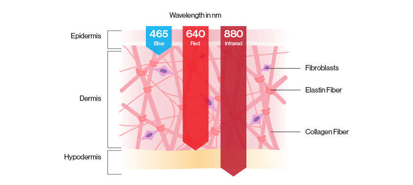 Infrared, red and blue light wavelengths in nanometers